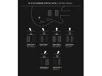 PRS SE CE24 Standard Satin Stoptail Charcoal PRS SE CE24 Standard Satin Stoptail Charcoal